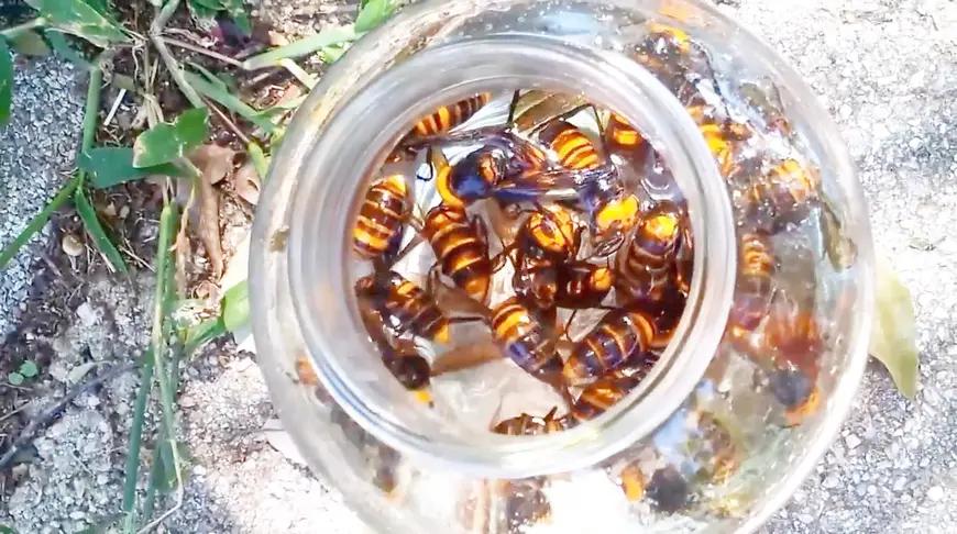 《大黄蜂》电影_高清完整版在线观看【影视大