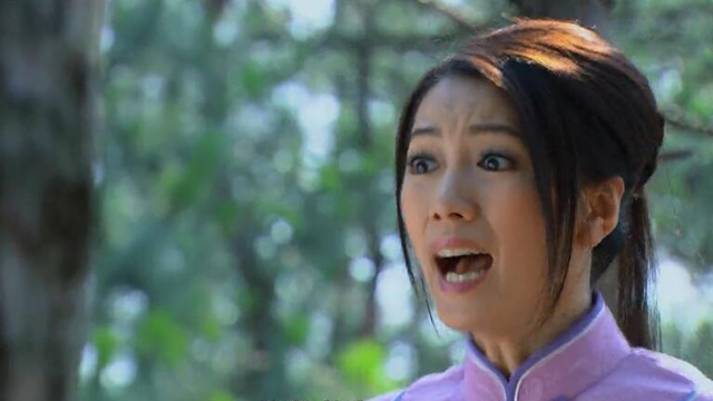 《桃花劫(冤情)》电视剧_全集(1-40集)高清在线