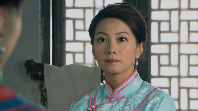 《桃花劫(冤情)》电视剧_全集(1-40集)高清在线