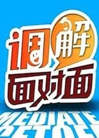 调解面对面2017
