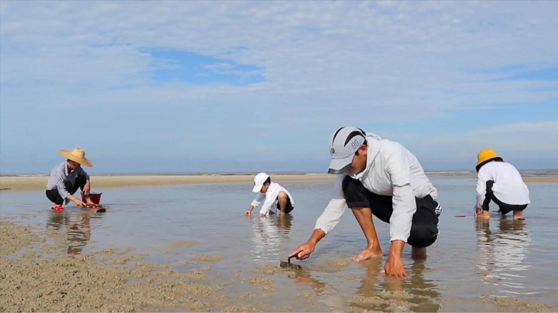 阿聪:阿聪"承包"万里沙滩,带全家人赶海,海货多到孩子全程哇哇大叫