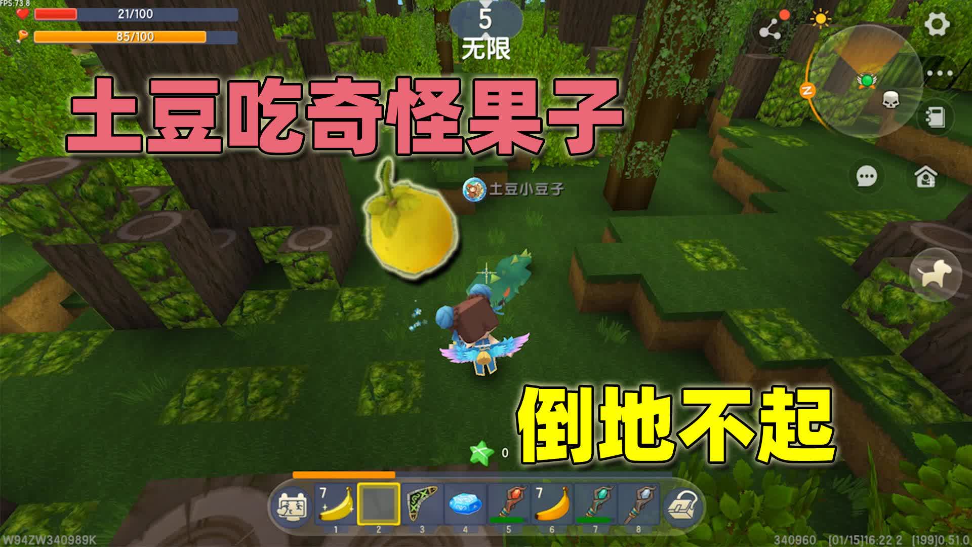 半拉摘乔木果实让土豆第一个尝,结果他吃了后倒地不起