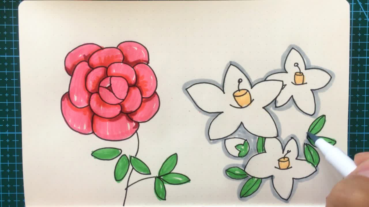 简笔画山茶花的画法,记得收藏哦