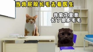 当我屁股长毛去看医生，医生让我不用担心