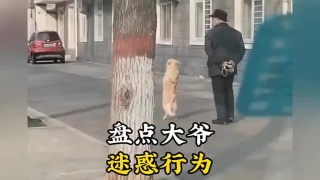 大爷们的迷惑行为迷惑行为大赏